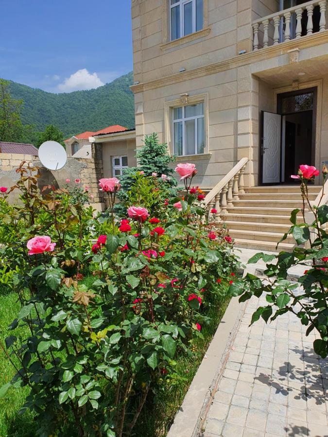 Viva Hotel Gabala With Outdoor Pool ,Sauna And Waterfall Bagian luar foto